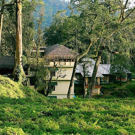 ディープ ウッズ リゾート ムンナール 部屋 写真