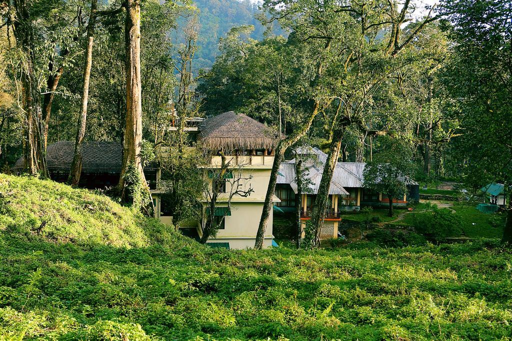 ディープ ウッズ リゾート ムンナール 部屋 写真